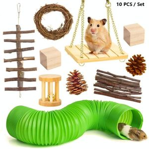 10 stks / set Hamster Toy Pet Konijn Guinea Parot Parrot Play Sminding Wood Speelgoed