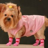 2 paar schattige puppy honden Pet gebreide anti-slip sokken (roze konijn)