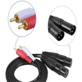 2RCA naar 2XLR-luidspreker Canon-kabel Audiobalanskabel  maat: 0 5 m (Dual Lotus naar Dual Canon Male)