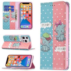 Gekleurde Tekening Patroon Onzichtbare Magnetische Horizontale Flip PU Lederen Case met Houder & Kaart Slots & Portemonnee voor iPhone 13 Pro Max (Olifant)