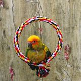 Huisdier vogel Bite-resistente katoen touw Swing ring Toy Climbing ring  grootte: diameter 18cm