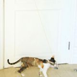 Opknoping Deur Intrekbare Cat Teaser Stick Huisdier Speelgoed (Blauw Konijn)