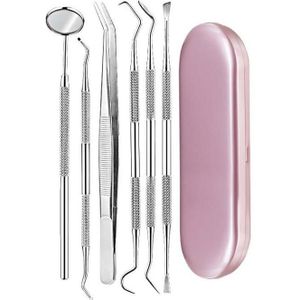 6 in 1 Roze Doos Roestvrij staal Tandheelkundige Hulpmiddelen Dental Care Tandsteen Tool Tandarts Tool Set