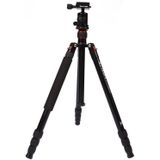 Triopo MT-2504C Verstelbaar Portable Statief Aluminium Tripod Standaard met NB-1S Balhoofd voor Canon Nikon Sony DSLR Camera (zwart)