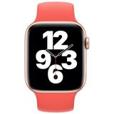 For Apple Watch Series 6 & SE & 5 & 4 40mm / 3 & 2 & 1 38mm Solid Color Elastic Silicone Replacement Wrist Strap Watchband  Size:M 143mm (Pink Orange)
