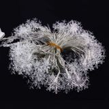 10m Snowflake vorm String decoratie lichten  70 LED met uitbreiden Interface  AC 110V(White Light)