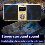 SDRD SD309 draadloze microfoon Bluetooth Audio All-in-One Machine(Zwart)