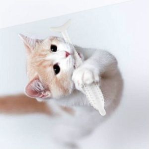 Catnip kat tanden schoonmaken siliconen dolfijn speelgoed (melkachtig wit)