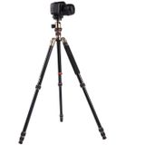 Triopo MT-2504C Verstelbaar Portable Statief Aluminium Tripod Standaard met NB-1S Balhoofd voor Canon Nikon Sony DSLR Camera