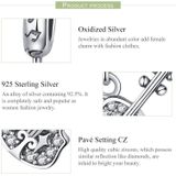 S925 Pure Silver Viool met Zircon DIY Hanger Accessoires