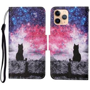 Voor iPhone 11 Pro geschilderd patroon horizontale flip Leathe case (Starry Cat)