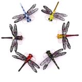 QT01 7cm /6g Vliegend Vissend Aas Lange Haak Bionic Dragonfly Bait (C (Zwart))