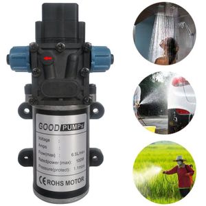 DC12V 100W Reflux Double Thread Reverse Pump Diafragma 8L Vernevelende Spray Waterpomp voor auto wassen / irrigatie