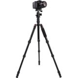 Triopo MT-2505C Verstelbaar Portable Statief Aluminium Tripod Standaard met NB-1S Balhoofd voor Canon Nikon Sony DSLR Camera (zwart)