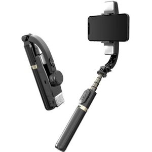Cyke Q08D Handheld Dual Light Bluetooth Mobile Telefoon Selfie Stick (Zwart)