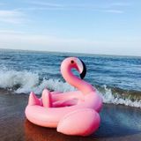 Opblaasbare Flamingo gevormde Baby zwemmen Ring  opgeblazen grootte: 83 x 83 x 48 cm