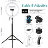 PULUZ 11 8 inch 30cm RGBW Light + 1.65m Mount Curved Surface RGBW Dimable LED Ring Vlogging Light Live Broadcast Kits with Cold Shoe Tripod Adapter & Phone Clamp & Remote Control (Black)