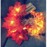 6m 40 LED's Maple Pumpkin Lantern String Lights Halloween Thanksgiving Garden Party Room Decoration Lights (Warm Light)