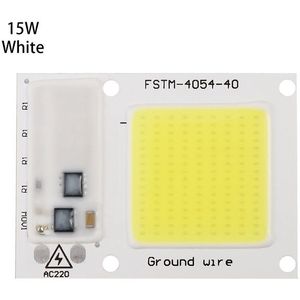Hoge Power 220V LED FloodlightCool/Warm wit COB LED Chip IP65 Smart IC Driver Lamp(15W white)