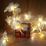 1.5 m 10 LEDs batterij aangedreven warm wit creatieve DIY Frangipani geleid string verlichting bloemen vakantie verlichting evenement partij Garland slaapkamer decoratie