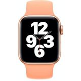 Voor Apple Watch Series 7 45mm / 6 & SE & 5 & 4 44mm / 3 & 2 & 1 42mm Solid Color Elastic Silicone Replacement Wrist Strap Watchband  Maat: L 156mm (Calendula)