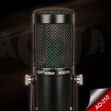 AQ-210 K Song Live opname condensator microfoon