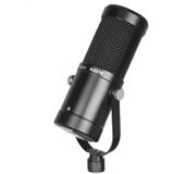AQ-210 K Song Live opname condensator microfoon