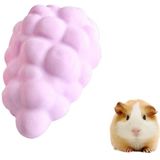 Huisdier Fruit Type Calcium stenen Hamsters konijnen kleine huisdieren tandenknarsen stenen huisdieren opleiding Tools(Purple)