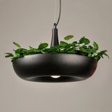 YWXLight Home Decoratie LED Hanging Garden Plant Lamp ingegoten DIY kroonluchter verlichting (Warm wit)