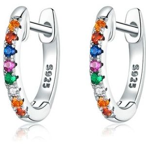 Sterling Silver Rainbow Oorbellen S925 Zircon Oorbellen  Kleur: Wit