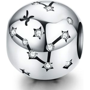 S925 Sterling Silver Twelve Constellation Beaded DIY Bracelet Accessoires Sieraden Zilveren Kralen  Stijl: Vissen