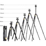 ZOMEI Z688 Professioneel Portable Statief Magnesium Tripod Monopod Standaard met Balhoofd voor Digitale Camera