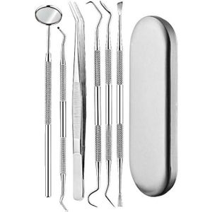 6 in 1 Zilveren Doos Roestvrij staal Tandheelkundige Hulpmiddelen Dental Care Tandsteen Tool Tandarts Tool Set