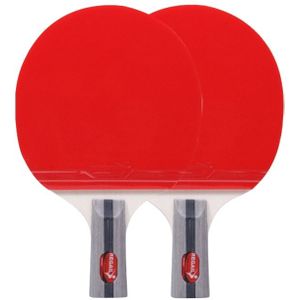 REGAIL 8020 2 in 1 korte handvat Penhold ping pong racket + Ping Pong Ball set voor training