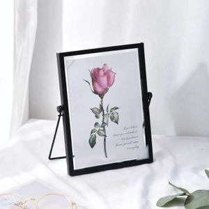 2 PCS Metal Glass Photo Frame Plant Specimen Holder  Grootte: 6 Inch (Black Bracket)