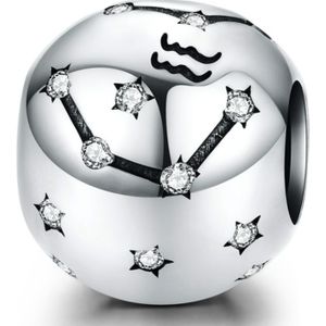 S925 Sterling Silver Twelve Constellation Beaded DIY Bracelet Accessoires Sieraden Zilveren Kralen  Stijl: Waterman