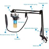 BM-800 Mic Kit condensator microfoon met verstelbare Mic Suspension Scissor arm  shock mount en dubbellaags pop filter  voor studio opname  live uitzending  live show  KTV  etc. (roze)