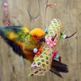 Creatieve papegaai vogel bamboe gevlochten beet tekening speelgoed