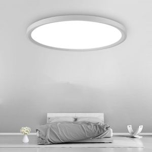 24W minimalist creatieve ronde LED plafond lamp  diameter: 40cm (wit licht)