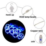 3M X 3M 300 LED's RGB 16 Color-Changing Copper Wire Curtain String Lights