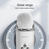 C20 Plus multifunctionele karaoke Bluetooth-luidspreker met microfoon