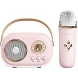 C20 Plus multifunctionele karaoke Bluetooth-luidspreker met microfoon