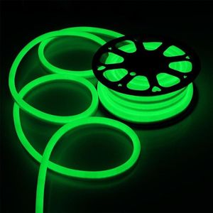 YWXLight 5m 600LEDs 2835 SMD LED neon licht flexibele DIP IP67 waterdichte Rope licht 2 draden  AC 220-240V (groen licht)