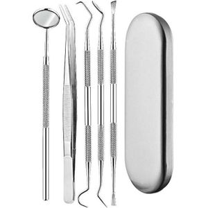 5 in 1 Zilveren Doos Roestvrij staal Tandheelkundige Hulpmiddelen Dental Care Tandsteen Tool Tandarts Tool Set