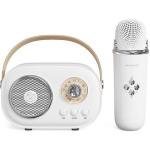 C20 Plus multifunctionele karaoke Bluetooth-luidspreker met microfoon