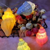 3m 20 LED's USB Power Small Conch Creative LED Light String Home Room Holiday Decoration (Warm Wit Licht)
