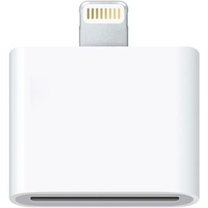 8 pin aan 30pin Adapter  voor de iPhone 6 & 6 Plus  iPhone 5 / 5S /5 C  iPad mini / mini 2 Retina  iPod touch 5  iPad 4  iPod Nano 7(White)