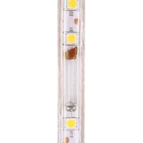 Behuizing waterdicht LED Light Strip  lengte: 3m  waterdicht IP65 SMD 5730 LED licht met stekker  120 LED/m  AC 220V(White Light)