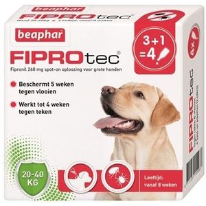 Beaphar Fiprotec Hond Tegen Teken En Vlooien - 20-40 KG 3+1 PIP