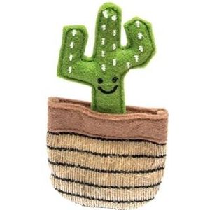 Fofos Cactus Mexico